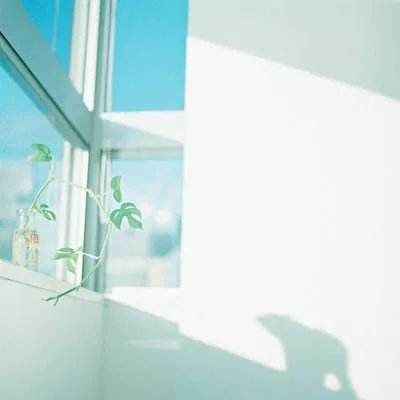 橙光师父貌美如花手游下载